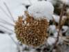 nature pictures