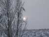 nature pictures