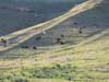 landscape photos