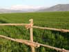 landscape photos
