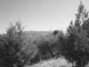 landscape pictures