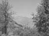 landscape pictures
